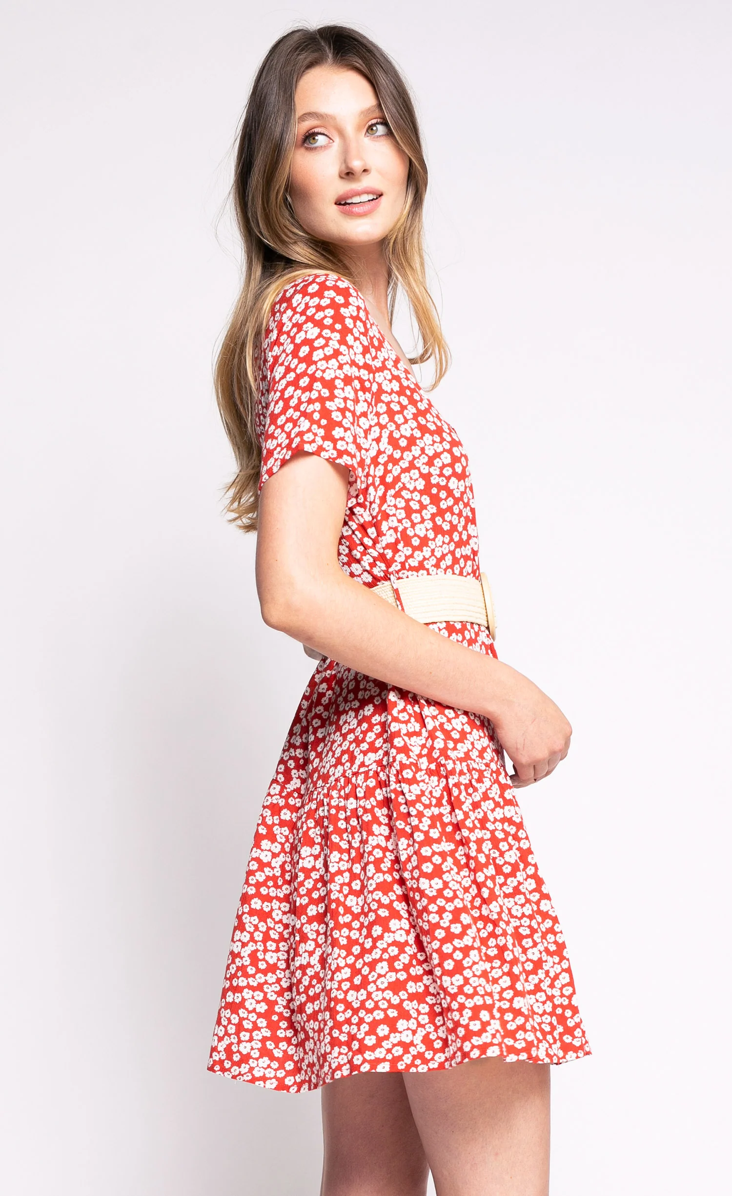 The Lylou Dress - Image 7